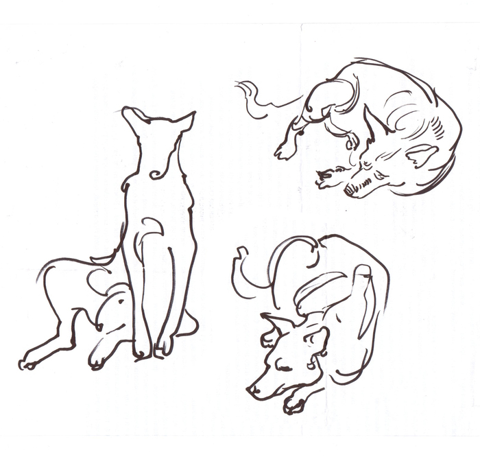 Doggies - My, Creation, Marker, Pencil, Animalistics, Dog, Nature, Longpost, Sketch, Drawing