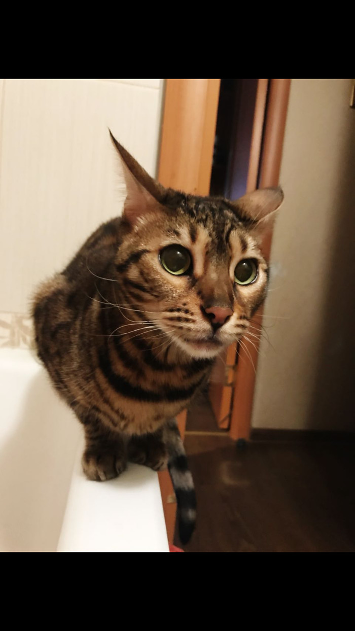 ��� �����