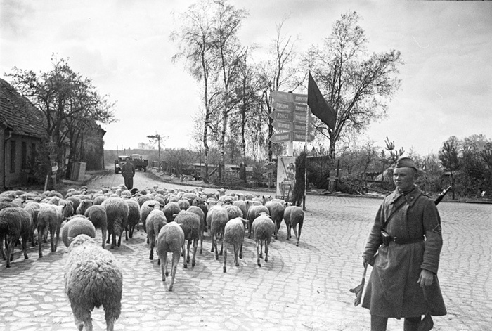 Великая Отечественная Война 1941-1945. № 30 - Великая Отечественная война, Чтобы помнили, Военный корреспондент, Шайхет Аркадий Самойлович, Длиннопост