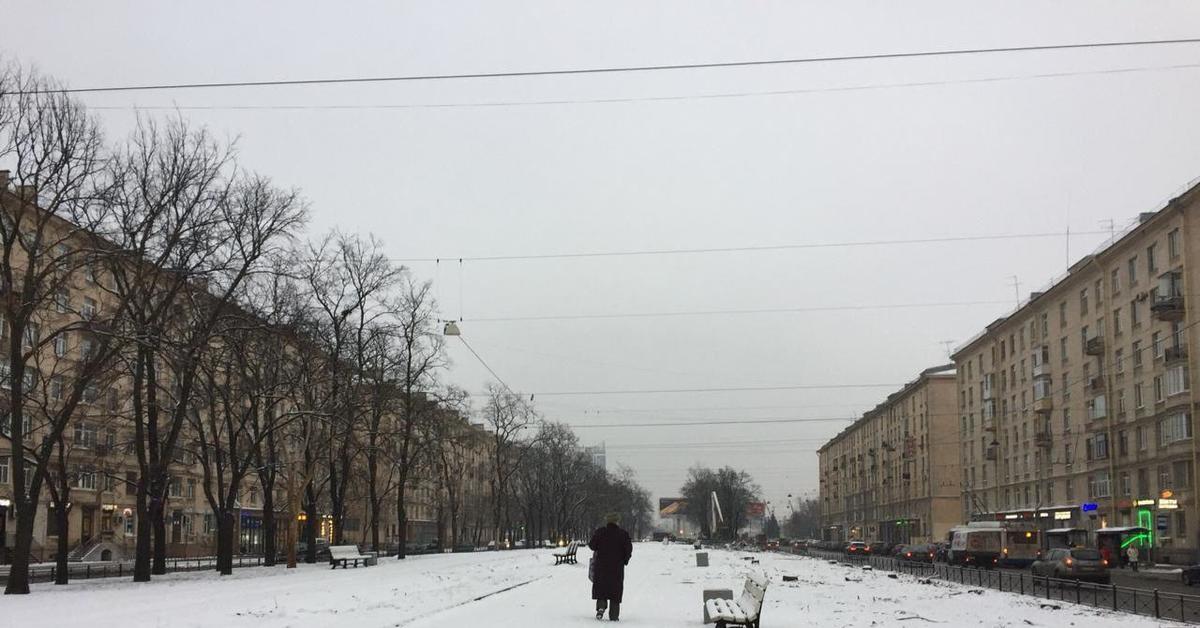 Улица типанова санкт петербург. Аллея на Типанова срублена. Улица Типанова зимой. Деревья на Типанова.