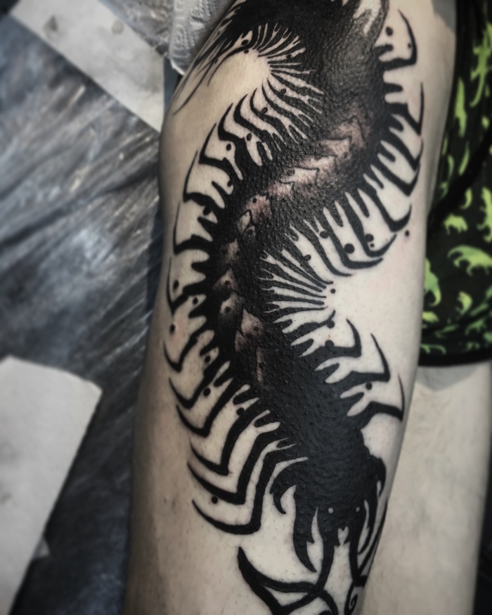 Sheltered hellish scolopendra on the leg, sketch - previous post for anyone interested) - My, Tattoo, Tattoo artist, Dark side, Sketch, Tattoo sketch, Video, Longpost