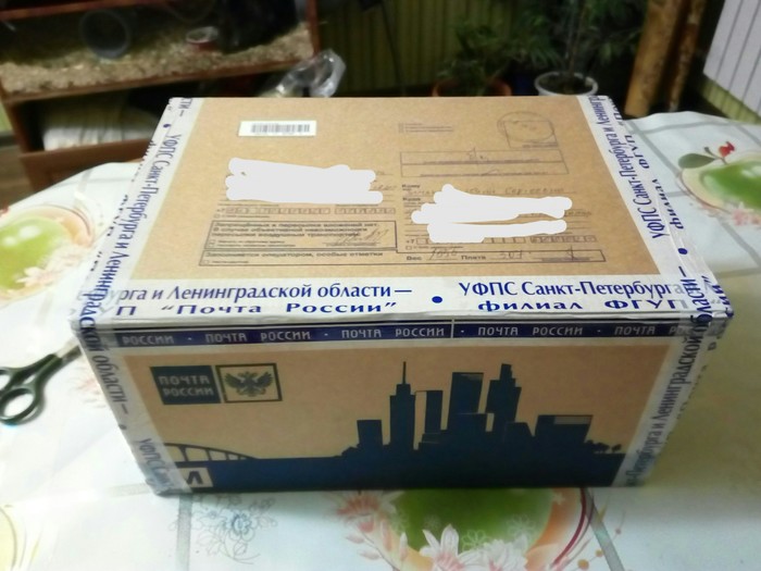 From St. Petersburg to Vladimir, or about how I received a New Year's gift. - My, Gift exchange report, Gift exchange, Secret Santa, New Year, Longpost