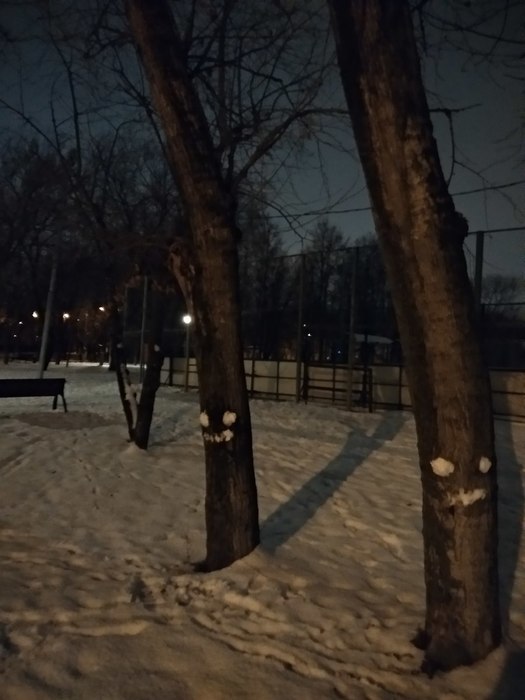 Did you go to that park, kid? - Winter, , Tree, Snow, Evening, The park, Alley