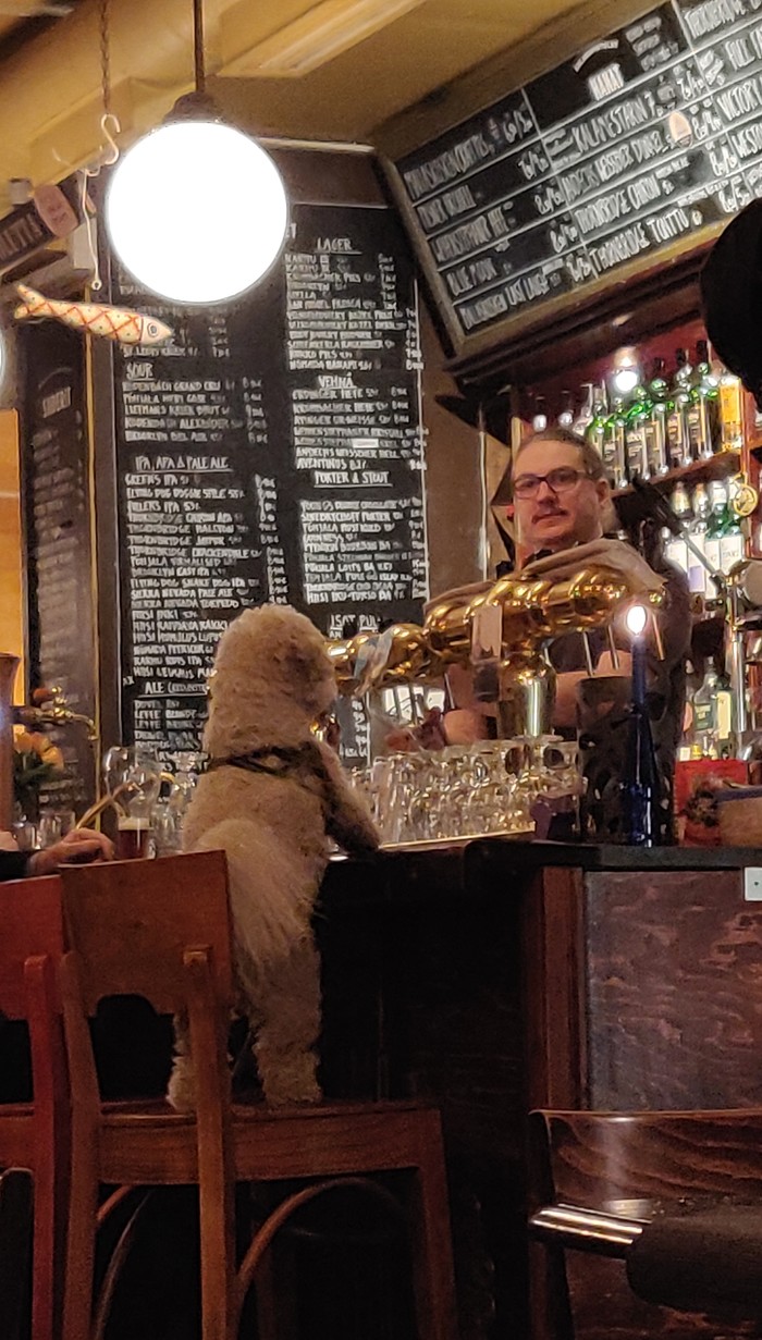 Case in a bar in Helsinki - My, Humor, Helsinki, Dog, Bar