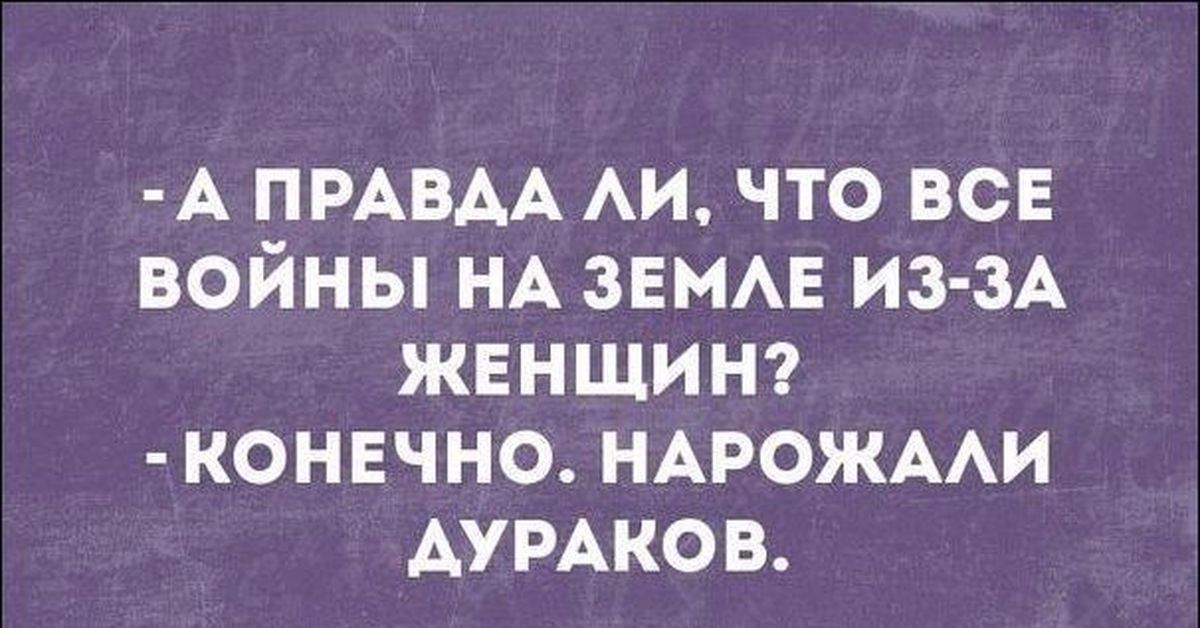 Женщины конечно. Нарожали дураков. Все войны из за женщин понарожали дураков. А правда что все войны на земле из-за женщин конечно нарожали дураков. Интеллектуальный дурак юмор.