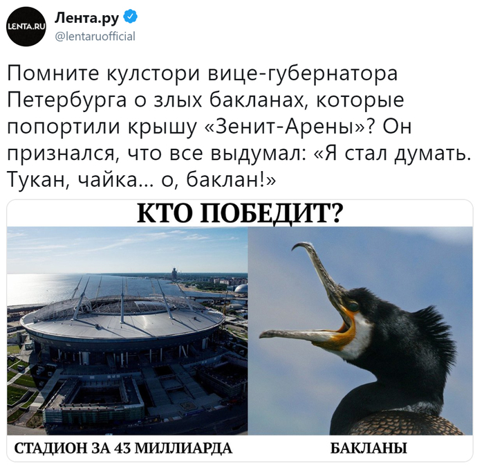 Remember the story of the Zenith Arena and cormorants - vandals? - Vice-governor, Lenta ru, Officials, Cormorants, Gazprom arena, Saint Petersburg, Russia, Society