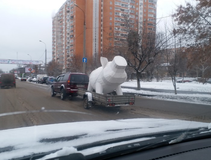 These are the pigs that drive along the roads of Korolev! - My, Pig, City of Queens