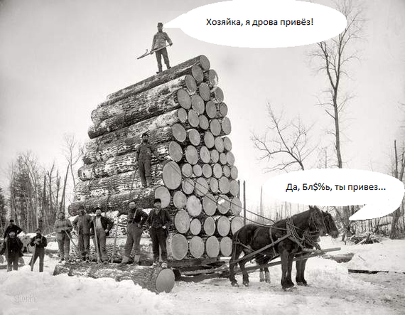 I brought wood... - Animals, Horses, People, Justice, Picture with text