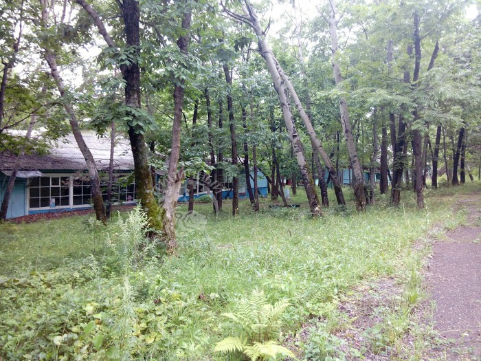 ����������� ������� ������ ������� ������, ����, ����, ���������, ����������