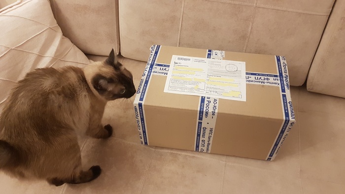 Oil and raccoon, tangerines and other miracles as a gift from Nizhnevartovsk - My, Gift exchange report, Longpost, Secret Santa, cat