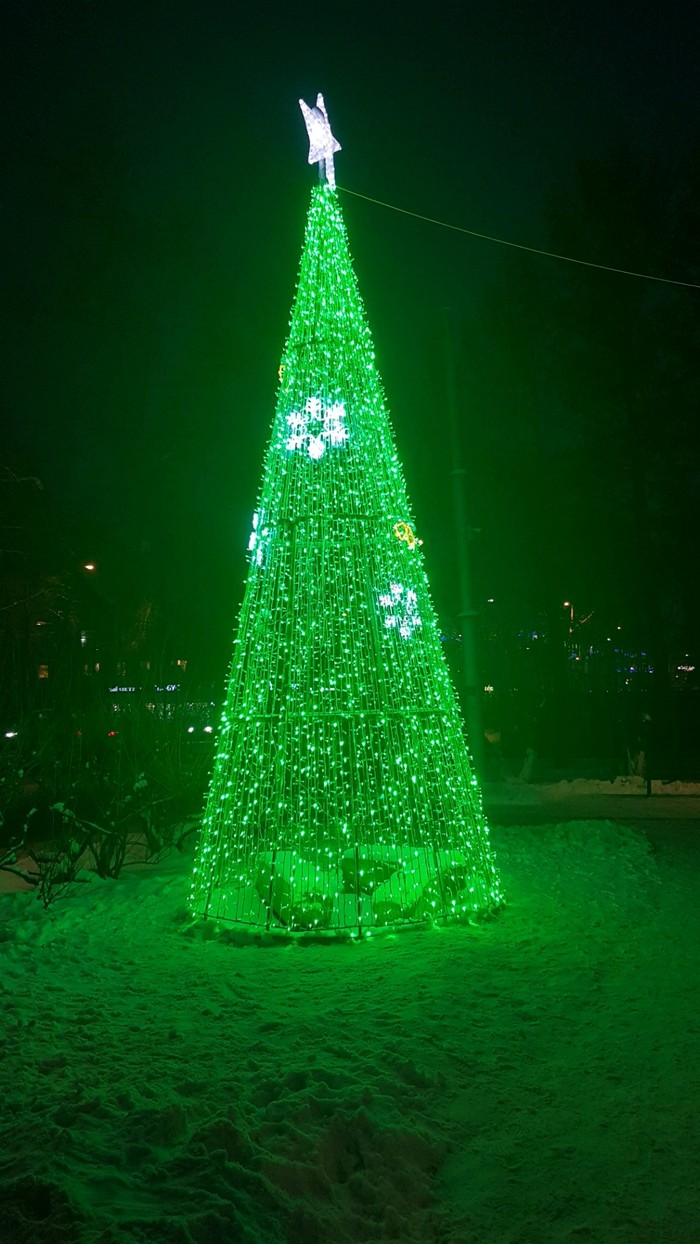 #New Year creeps up... - My, Christmas trees, Murmansk, New Year, Longpost