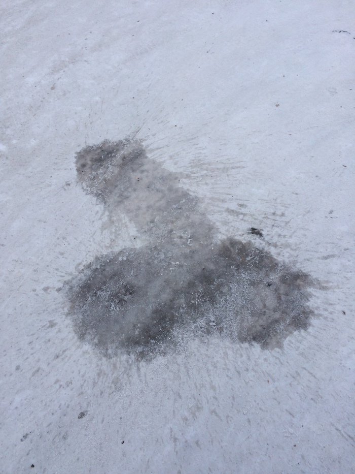 I was walking down the street and this - My, Snow, Ice, Penis