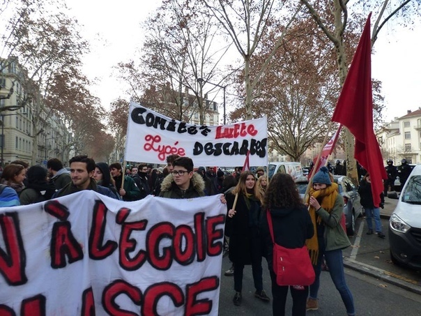 Vive la France - Demonstration, France, Socialism, the USSR, The photo, Lyon, Longpost