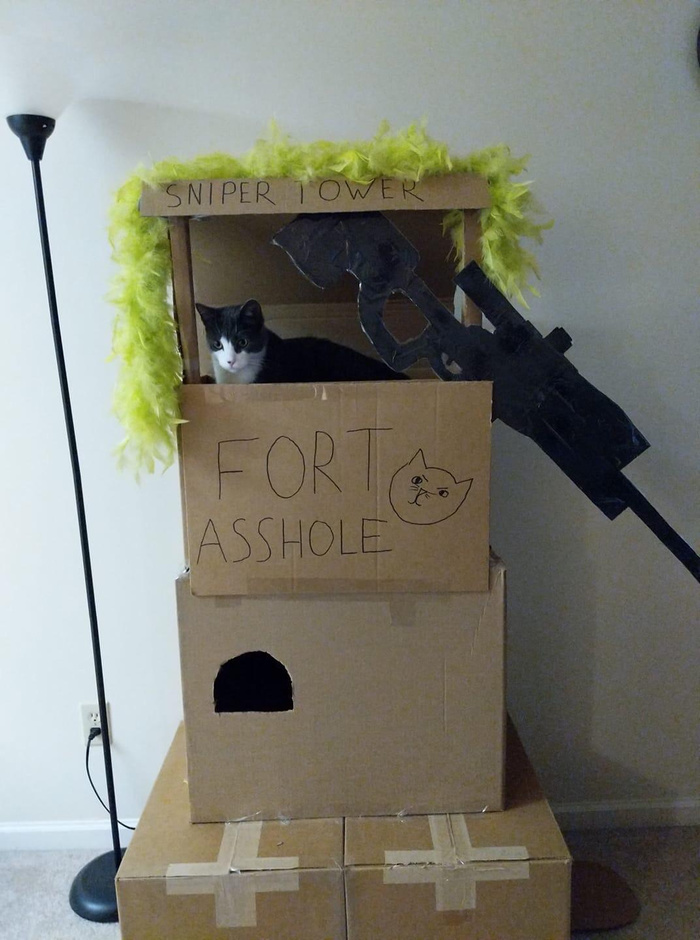   , ,   