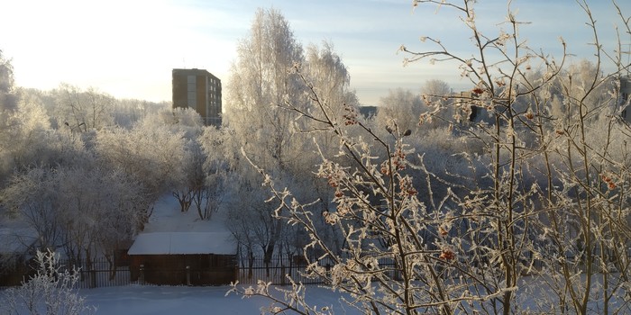 A little frosty morning - My, The photo, Morning, Good morning, Frost