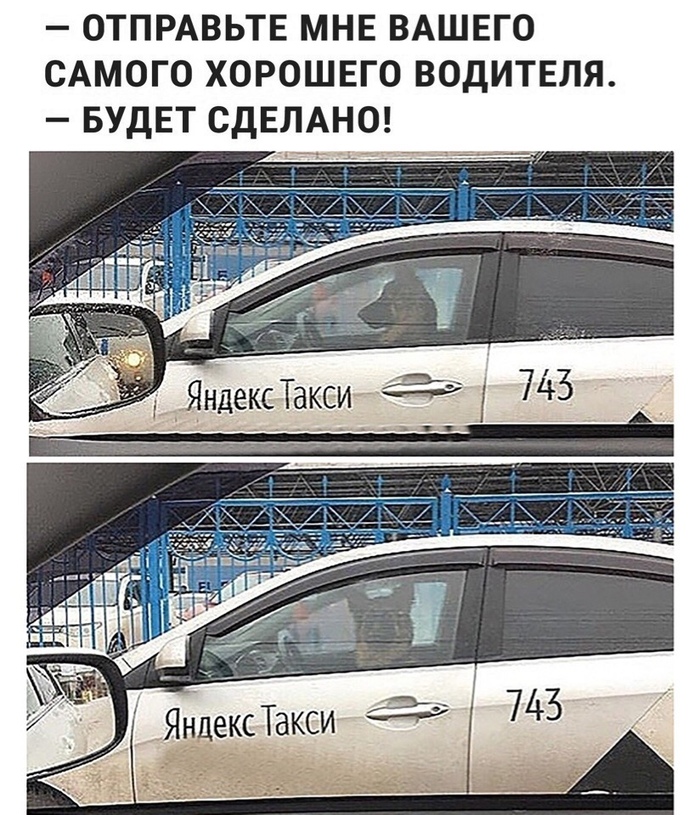 good driver - Good boy, Yandex Taxi, Driver