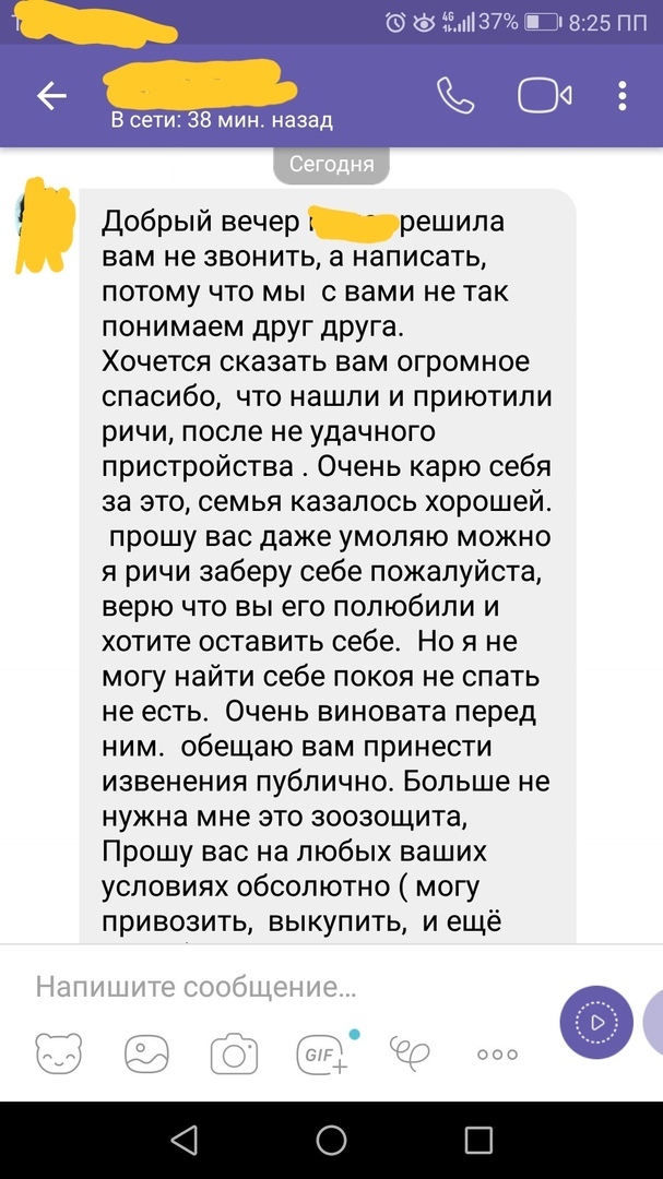 Диванные волонтеры продолжение... - Моё, Длиннопост, Собака, Радикальная зоозащита, Челябинск