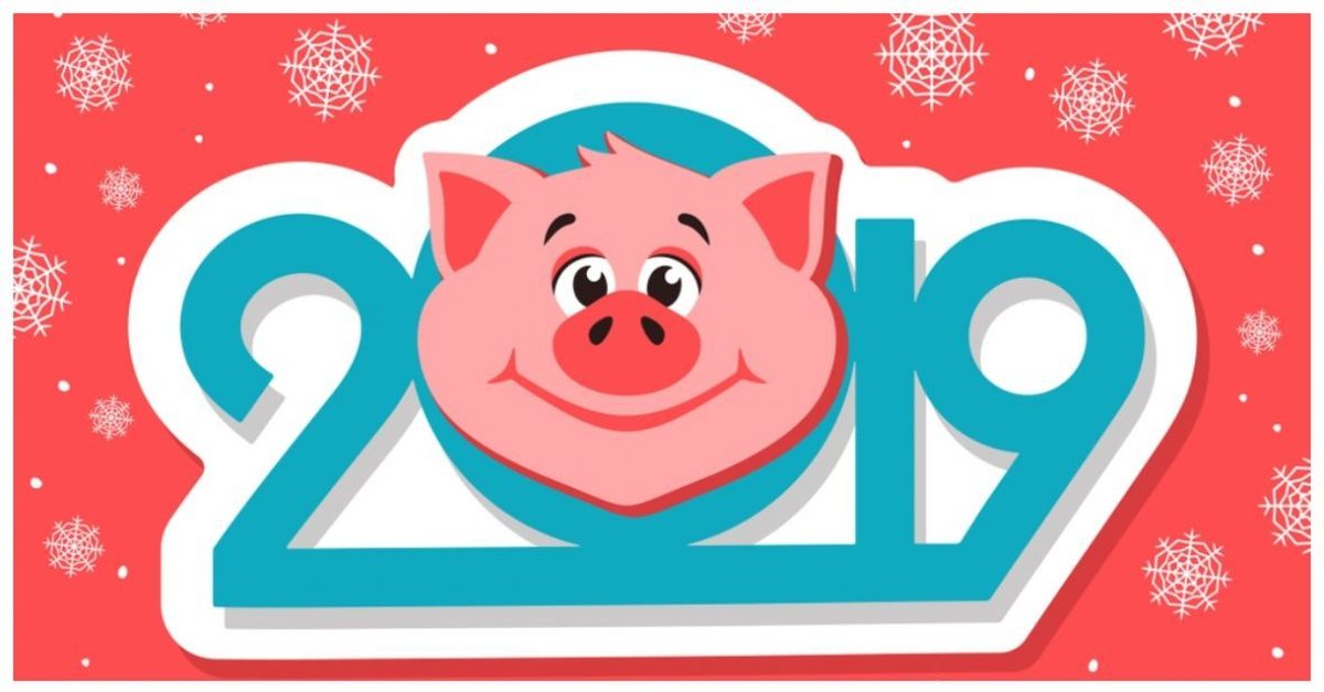 2019 год. 2019 Год картинка. Символ года 2019. Надпись с новым годом свинья.