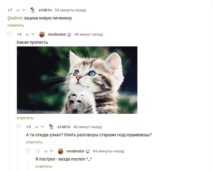 ����� ����� ������