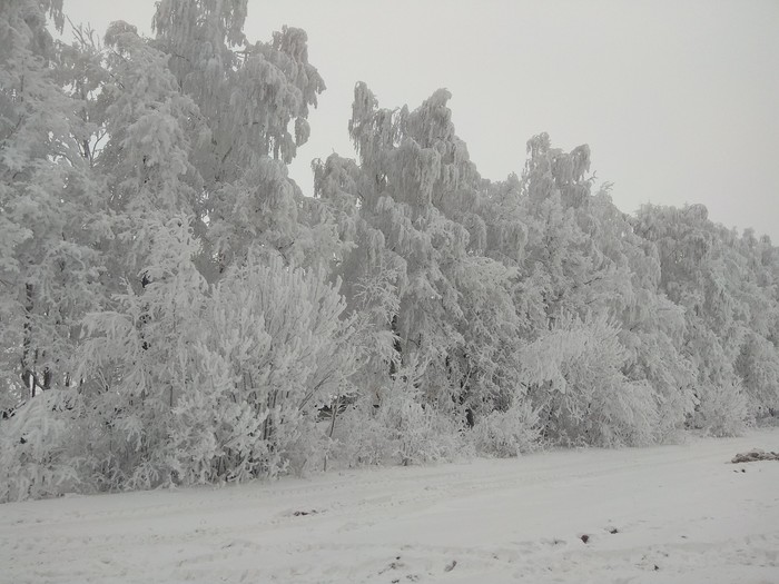 Зима в Чебоксарах похожа на сказку Чебоксары, Пейзаж, Снег, Длиннопост, Фотография