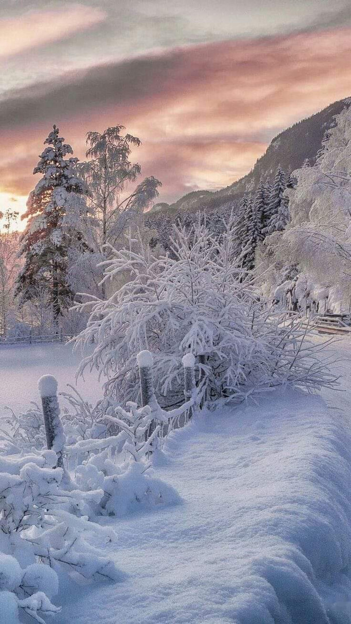 Зимний пейзаж Зима, Снег, Пейзаж