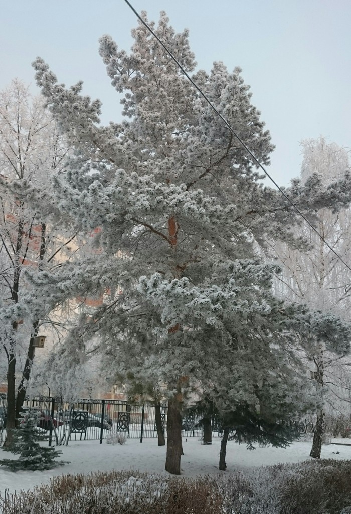 Зима пришла в Уфу Зима, Природа