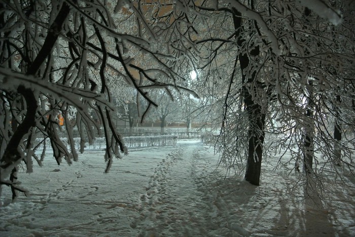 Snowy Cheboksary. - My, Nature, Cheboksary, Winter, Longpost, The photo