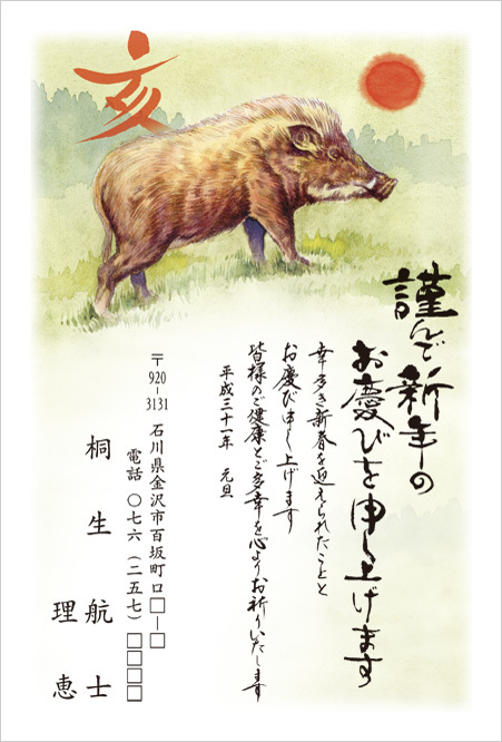 Symbol of New Year in Japan - Japan, New Year, Postcard, Longpost, Boar, Images