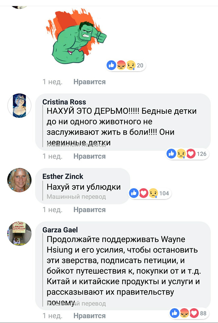 Фейсбук отлично справляется с переводом Мат, Переводчик, Длиннопост, Facebook