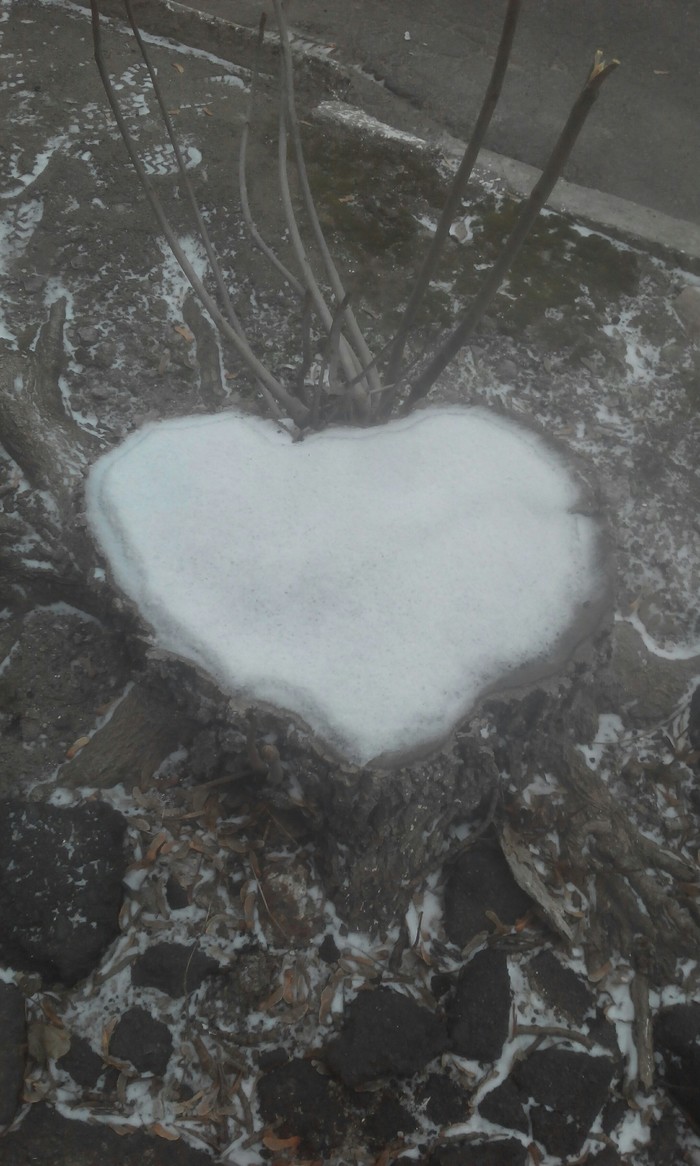 Сердце лесоруба Сердце, Снег, Дерево, Зима