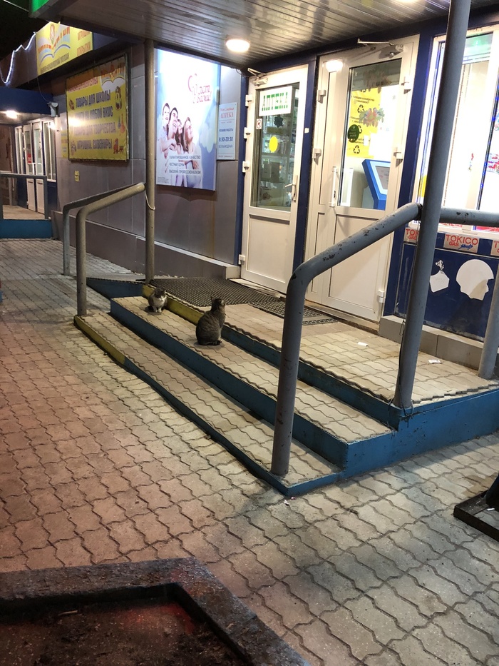 Вечерняя очередь