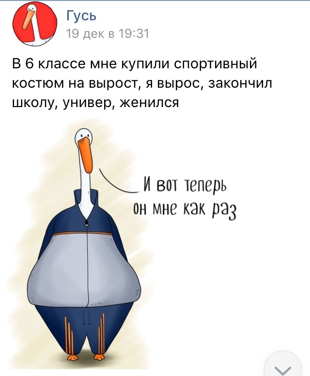 А что с гусиным вором Стасиком? Ворует-с.. - Гусь, Стасикневоруй, Справедливость, Длиннопост