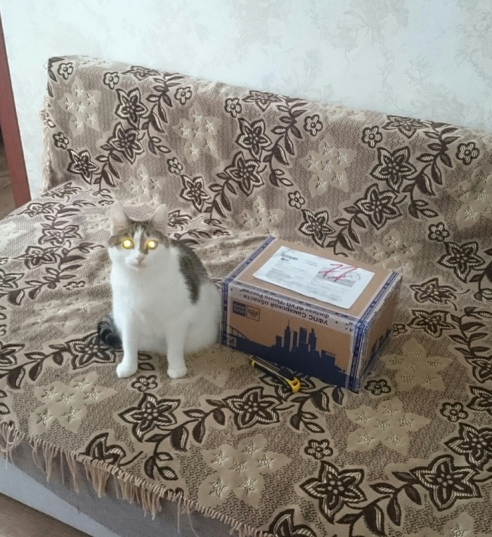 ADM Samara-Ufa - My, New Year, Gift exchange report, Secret Santa, Longpost, Gift exchange, cat