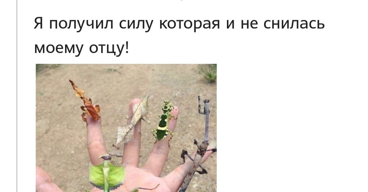 Где взять силы