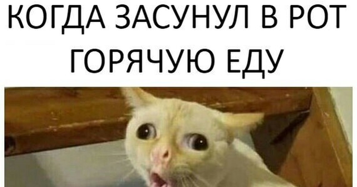 Фух,фух,фух | Пикабу