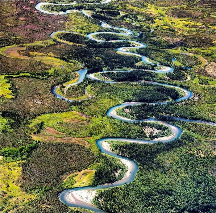 This river flows as I go to my goals... - River, Channel, Forest, Nature