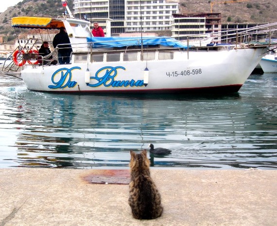 Из жизни Спасательного Отряда.