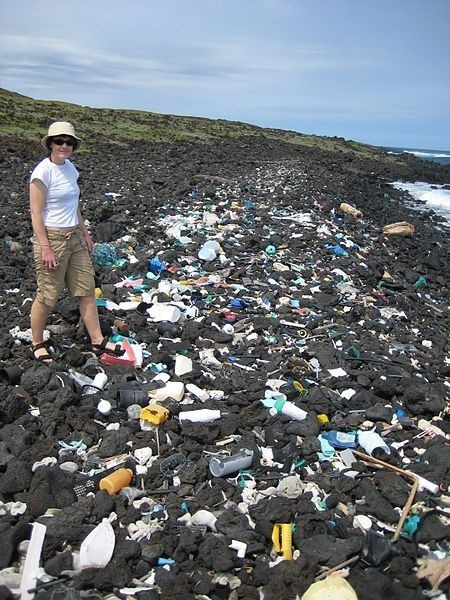 Garbage of civilization in wildlife - Garbage, Nature, Ocean, Civilization, Longpost