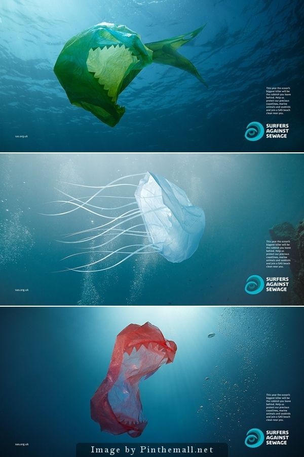 Garbage of civilization in wildlife - Garbage, Nature, Ocean, Civilization, Longpost