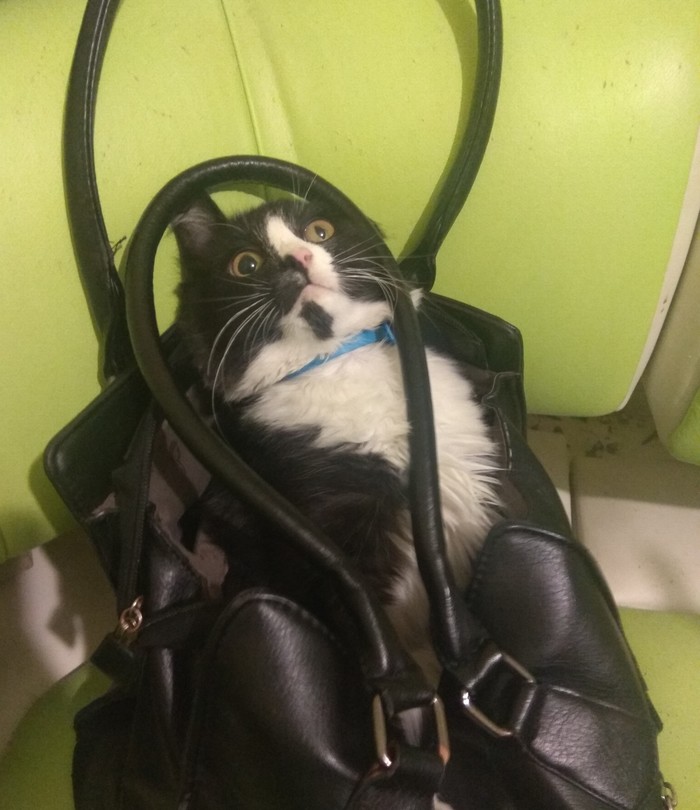 ��� ��������