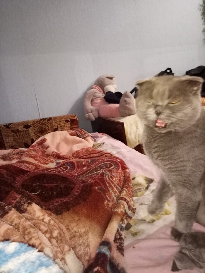 Сектор плюс на барабане