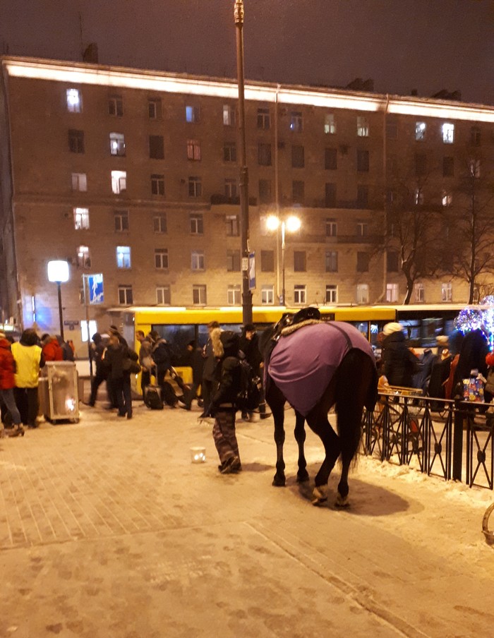 Новый уровень попрошайничества - Лошади, Попрошайки, Метро СПБ