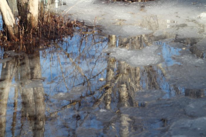 Remembering December April... - My, The photo, Spring, Snow, Reflection