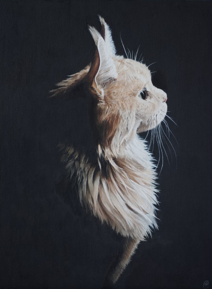 Her cat - My, cat, Oil painting, Animals, Animalistics, Photorealism, Maine Coon, Painting, Butter