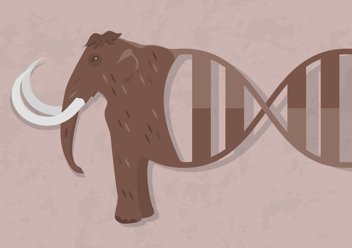 Mammoth bone disassembled into fats and proteins - Genetics, DNA, Mammoth, Paleontology, My