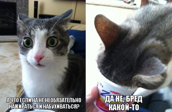 How is the New Year celebrated in a parallel universe? - Memes, New Year, cat