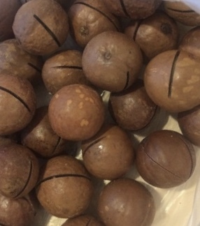 Macadamia nut shell tincture - Tincture, Shell, Macadamia
