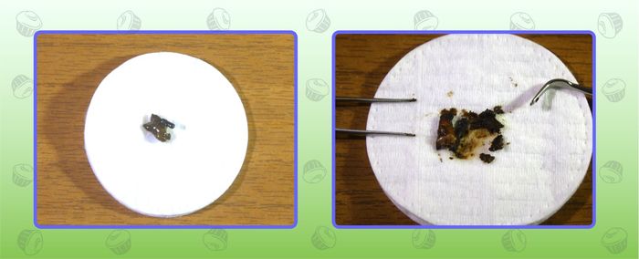 рыба тоже любит пепси колу. Смотреть фото рыба тоже любит пепси колу. Смотреть картинку рыба тоже любит пепси колу. Картинка про рыба тоже любит пепси колу. Фото рыба тоже любит пепси колу рыба тоже любит пепси колу. Смотреть фото рыба тоже любит пепси колу. Смотреть картинку рыба тоже любит пепси колу. Картинка про рыба тоже любит пепси колу. Фото рыба тоже любит пепси колу