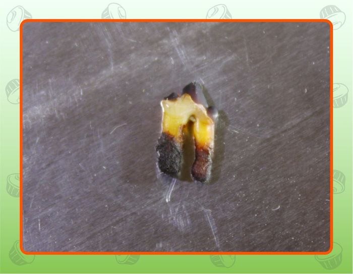 рыба тоже любит пепси колу. Смотреть фото рыба тоже любит пепси колу. Смотреть картинку рыба тоже любит пепси колу. Картинка про рыба тоже любит пепси колу. Фото рыба тоже любит пепси колу рыба тоже любит пепси колу. Смотреть фото рыба тоже любит пепси колу. Смотреть картинку рыба тоже любит пепси колу. Картинка про рыба тоже любит пепси колу. Фото рыба тоже любит пепси колу