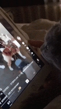 Стой,а ну давай обратно